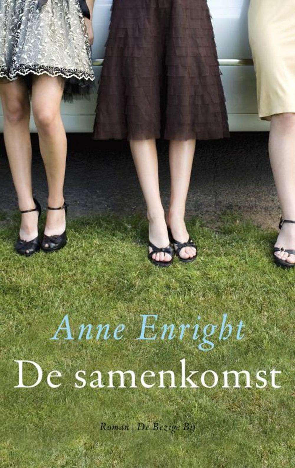 Big bigCover of De samenkomst