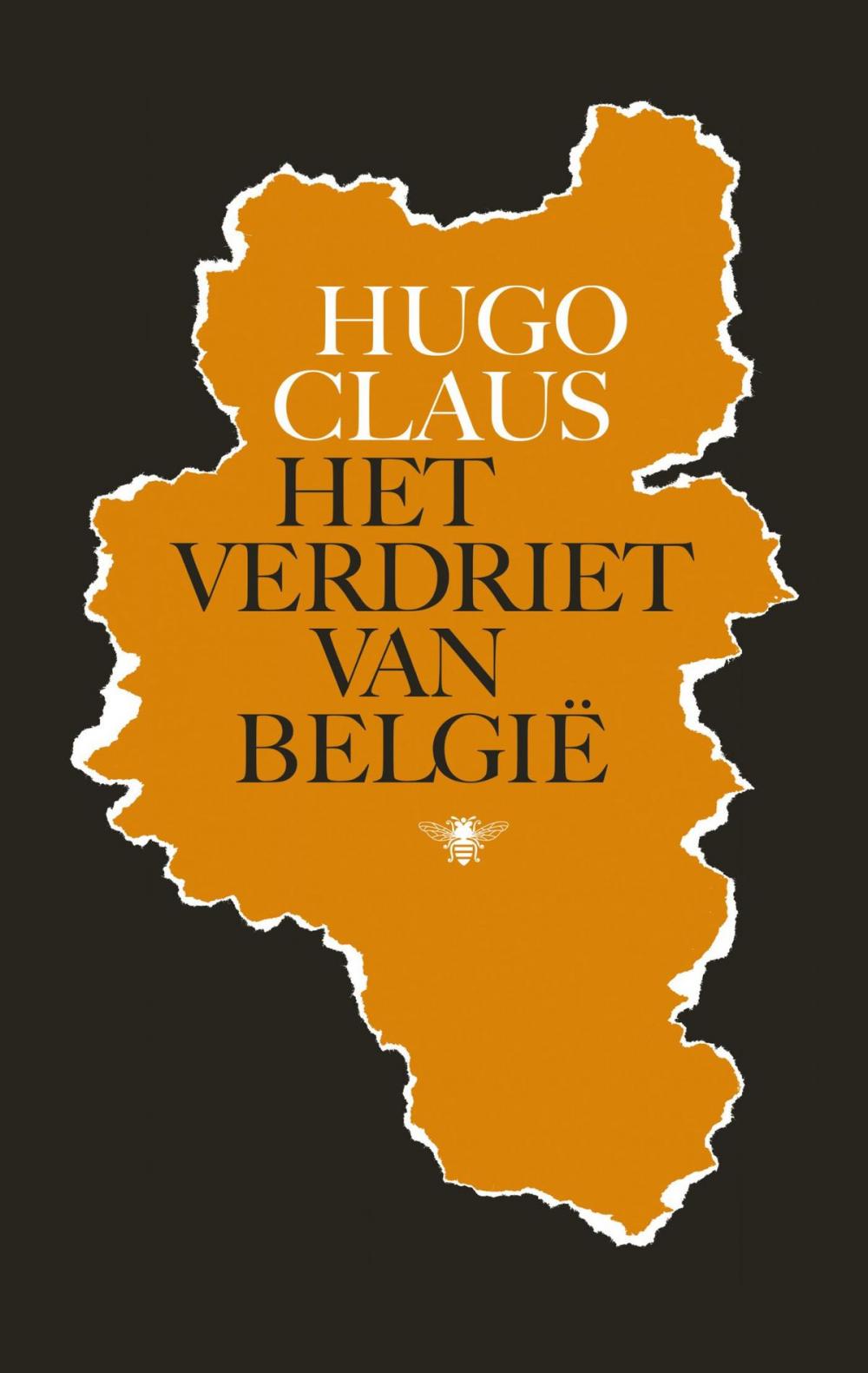 Big bigCover of Het verdriet van Belgie