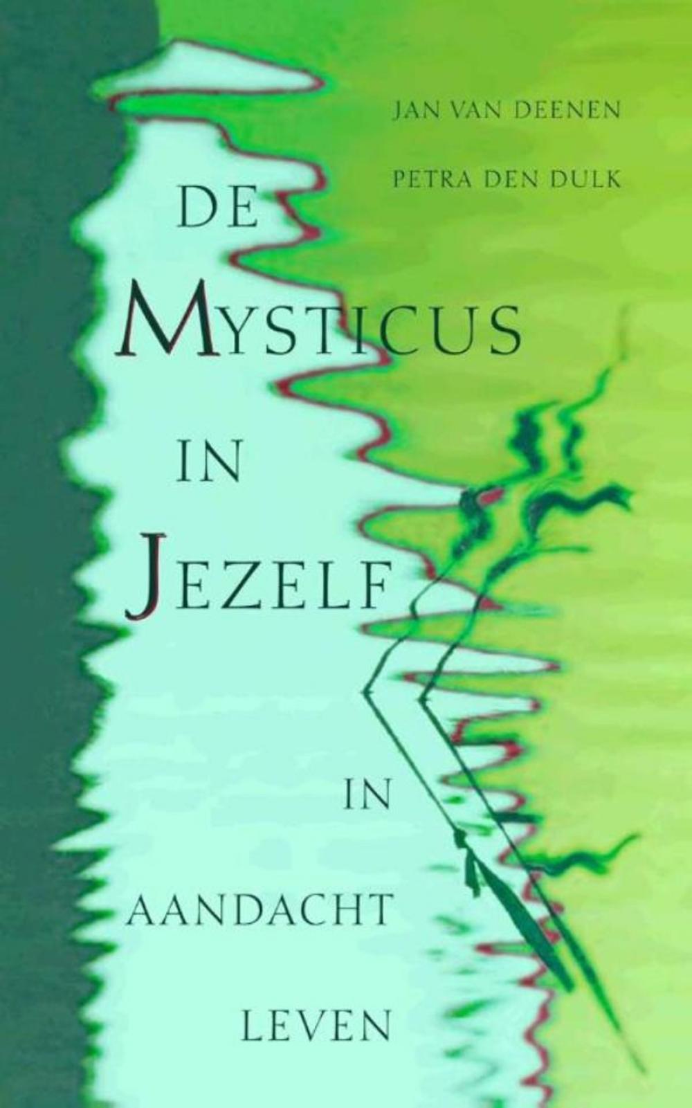 Big bigCover of De mysticus in jezelf / druk 2