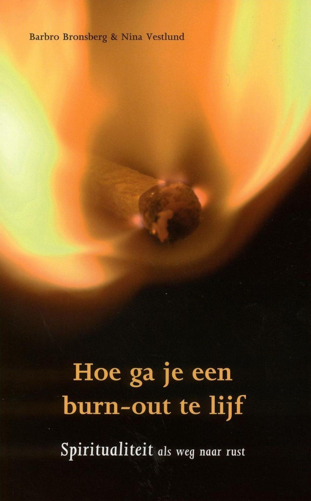 Big bigCover of Hoe ga je een burn-out te lijf