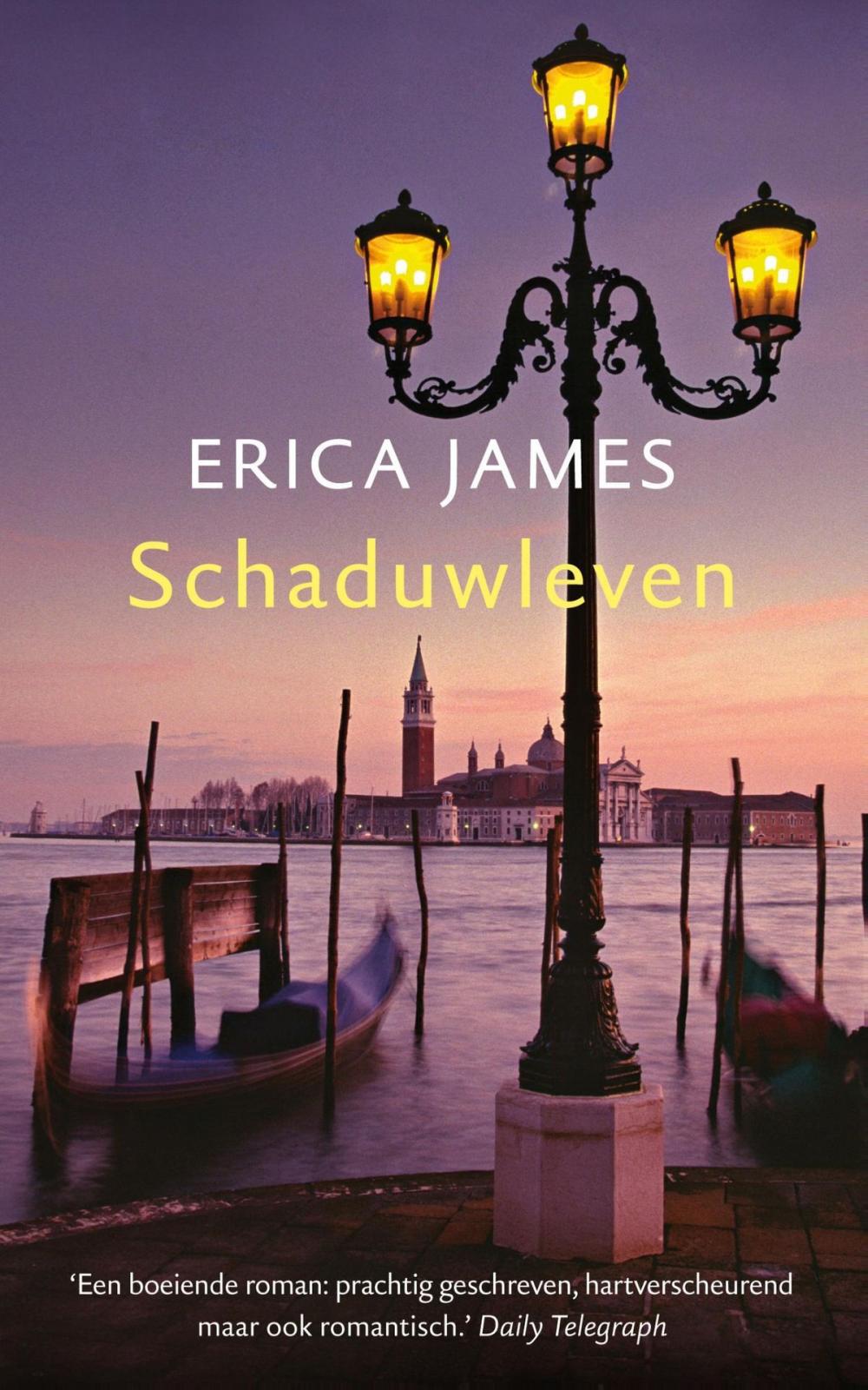 Big bigCover of Schaduwleven