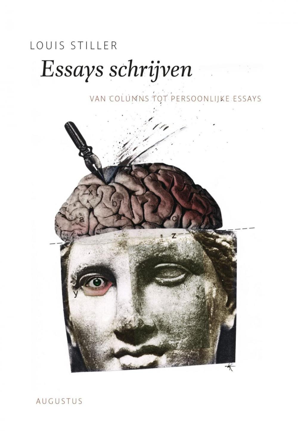 Big bigCover of Essays schrijven