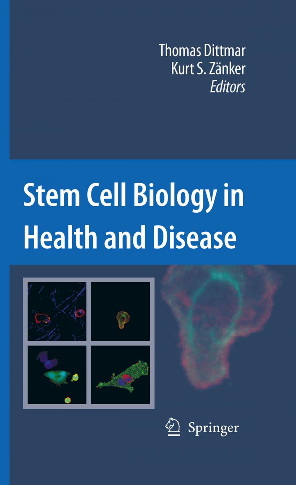 Big bigCover of Stem Cell Biology in Health and Disease