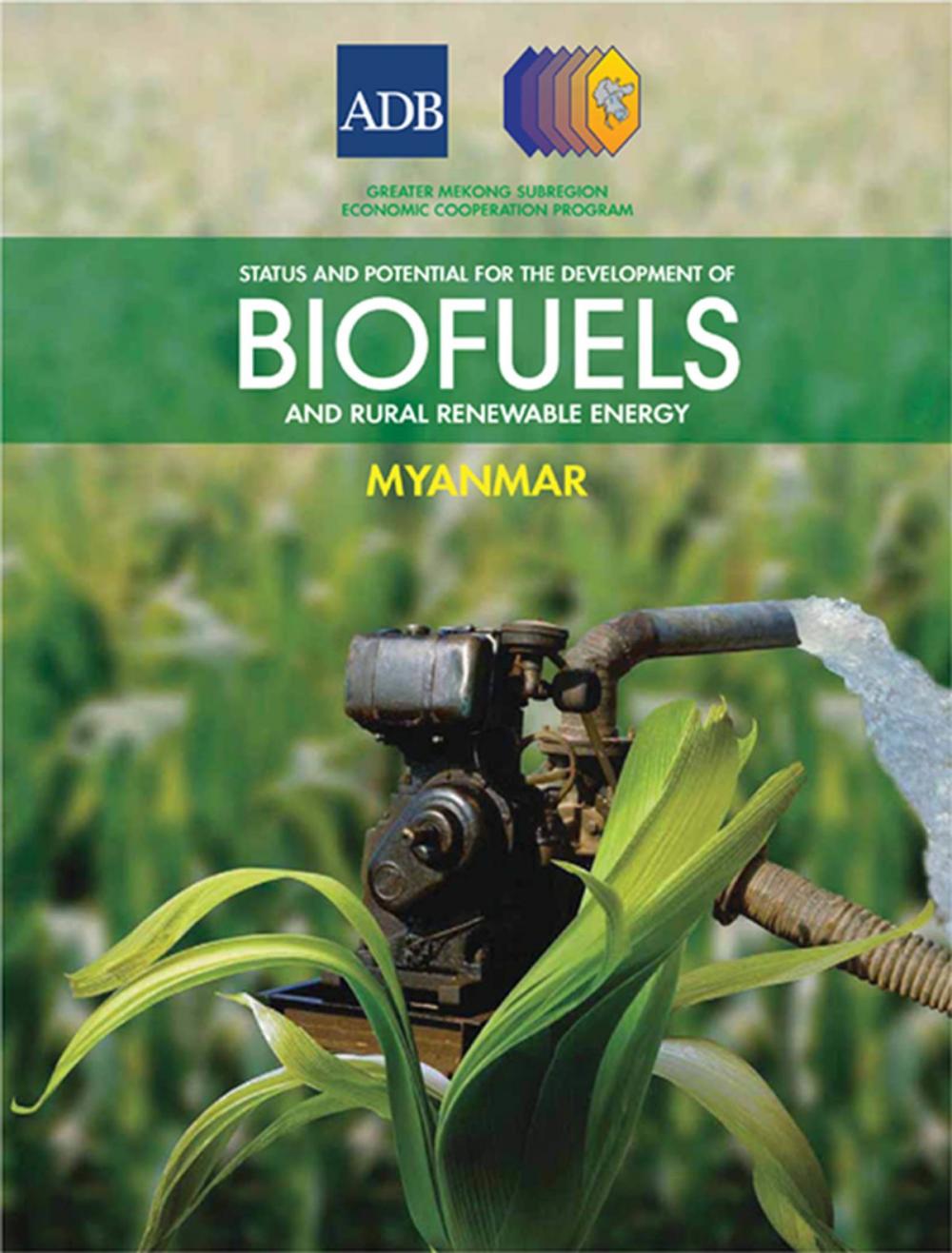 Big bigCover of Myanmar: Status and Potential for the Development of Biofuels and Rural Renewable Energy