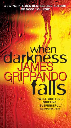 Cover of the book When Darkness Falls by Dan Hooper