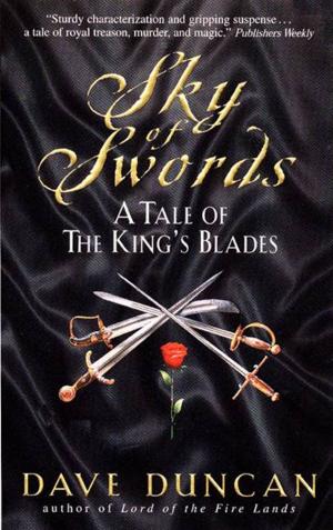 Cover of the book Sky of Swords by Gretchen Holbrook Gerzina