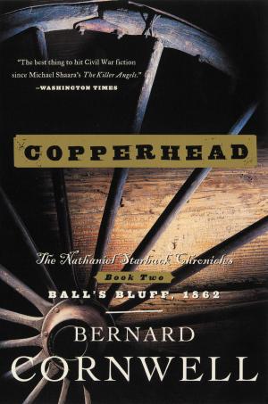 Cover of the book Copperhead by Shannon Bolithoe