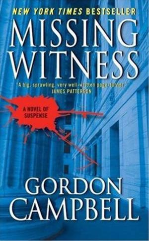 Cover of the book Missing Witness by Kathryn Smith