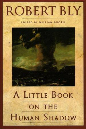 Cover of the book A Little Book on the Human Shadow by Jennifer Louden