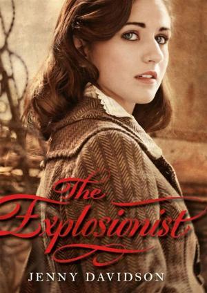 Cover of the book The Explosionist by Sonya Sones