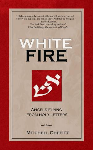 Cover of the book White Fire: Angels Flying from Holy Letters by Laurie Larsen