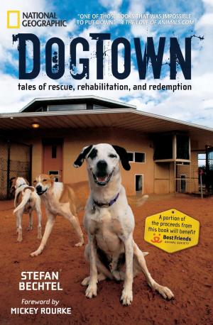 Cover of the book DogTown by Joseph Lemasolai Lekuton, Herman Viola
