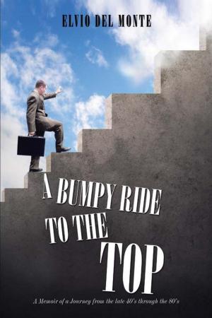 Cover of the book A Bumpy Ride to the Top by Darcy Wheeler