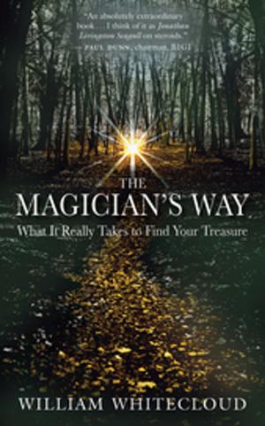 Cover of the book The Magician's Way by Richard Moss