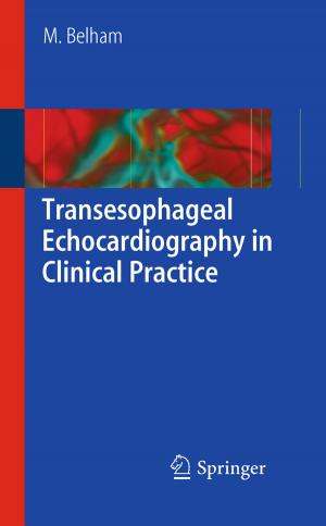 Cover of the book Transesophageal Echocardiography in Clinical Practice by J. Andreas Bærentzen, Jens Gravesen, Henrik Aanæs, François Anton