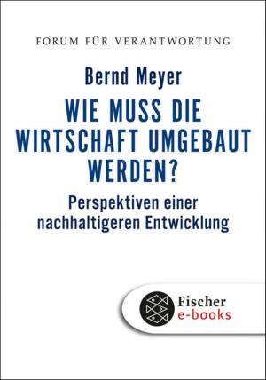 Cover of the book Wie muss die Wirtschaft umgebaut werden? by Anita Albus