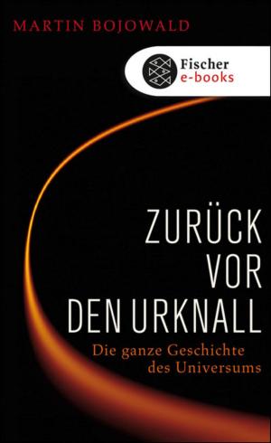 Cover of the book Zurück vor den Urknall by Michael Sontheimer, Götz Aly