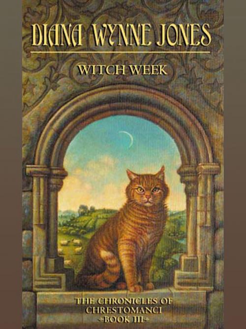 Cover of the book Witch Week by Diana Wynne Jones, Greenwillow Books