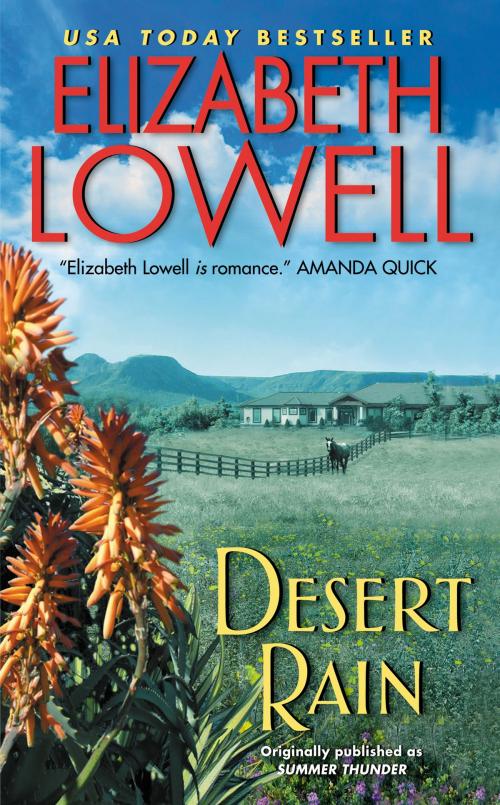 Cover of the book Desert Rain by Elizabeth Lowell, HarperCollins e-books