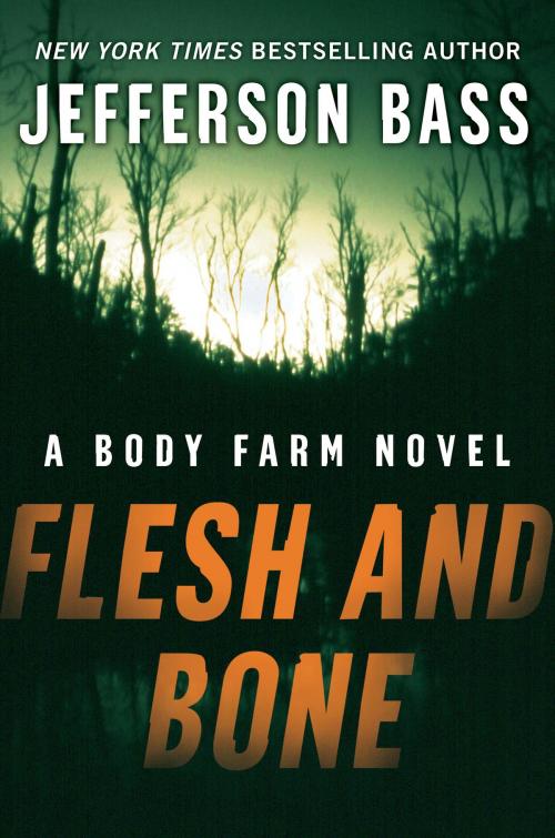 Cover of the book Flesh and Bone by Jefferson Bass, HarperCollins e-books