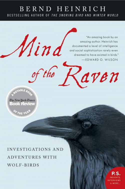 Cover of the book Mind of the Raven by Bernd Heinrich, HarperCollins e-books