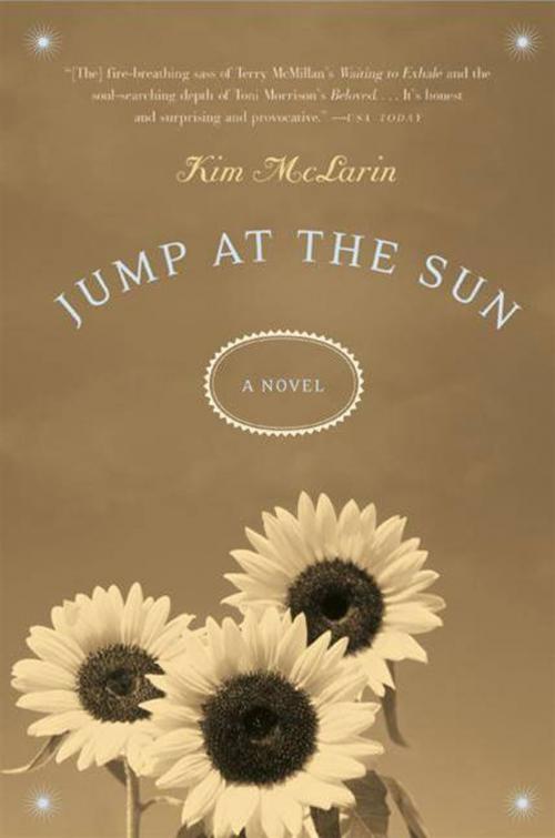 Cover of the book Jump at the Sun by Kim McLarin, HarperCollins e-books