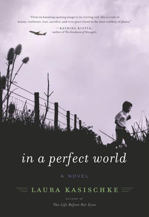 Cover of the book In a Perfect World by Laura Kasischke, HarperCollins e-books