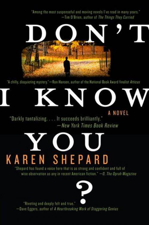 Cover of the book Don't I Know You? by Karen Shepard, HarperCollins e-books