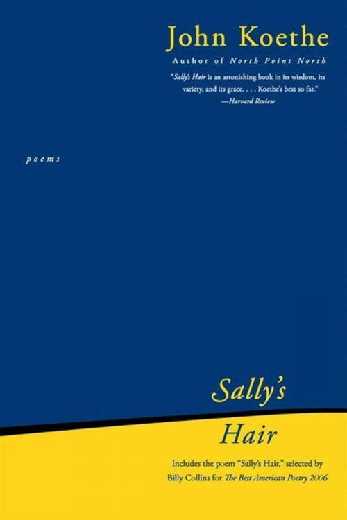 Cover of the book Sally's Hair by John Koethe, HarperCollins e-books