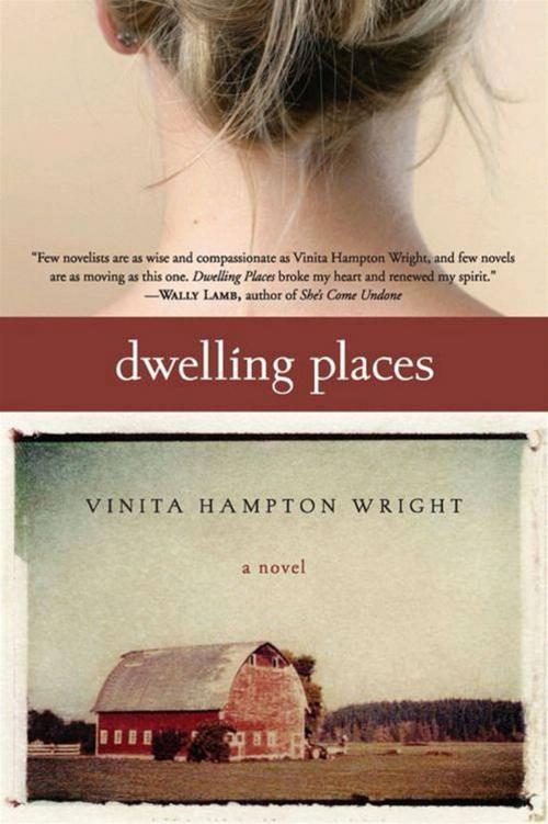 Cover of the book Dwelling Places by Vinita Hampton Wright, HarperOne