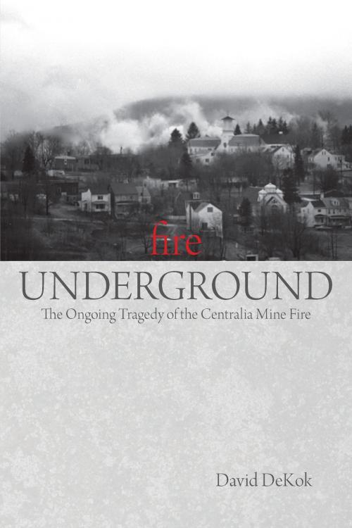 Cover of the book Fire Underground by David DeKok, Globe Pequot