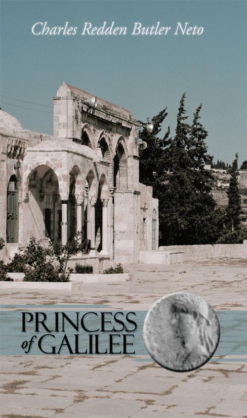 Cover of the book Princess of Galilee by Charles Redden Butler Neto, iUniverse