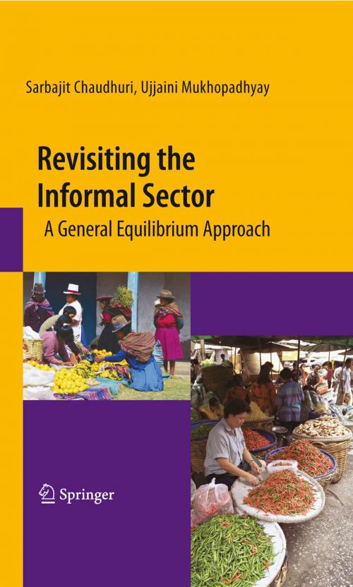 Cover of the book Revisiting the Informal Sector by Sarbajit Chaudhuri, Ujjaini Mukhopadhyay, Springer New York