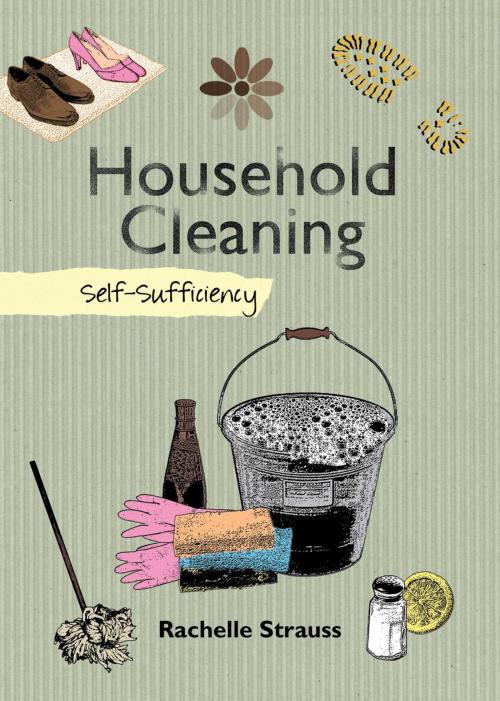 Cover of the book Household Cleaning by Rachelle Strauss, Skyhorse