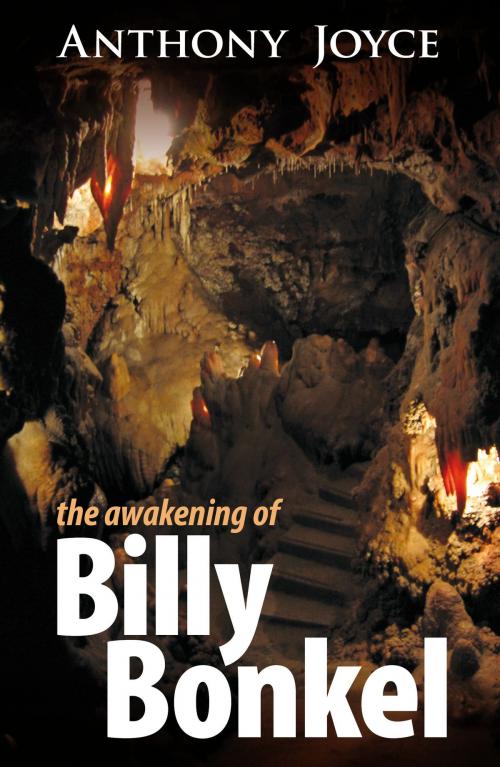 Cover of the book The Awakening of Billy Bonkel by Anthony Joyce, Imprimata Publishers