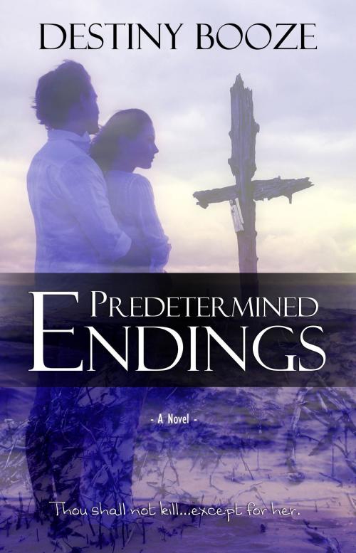 Cover of the book Predetermined Endings by Destiny Booze, Whimsical Publications