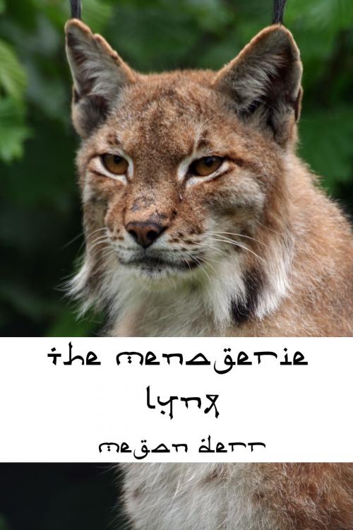 Cover of the book The Menagerie: Lynx by Megan Derr, Less Than Three Press LLC