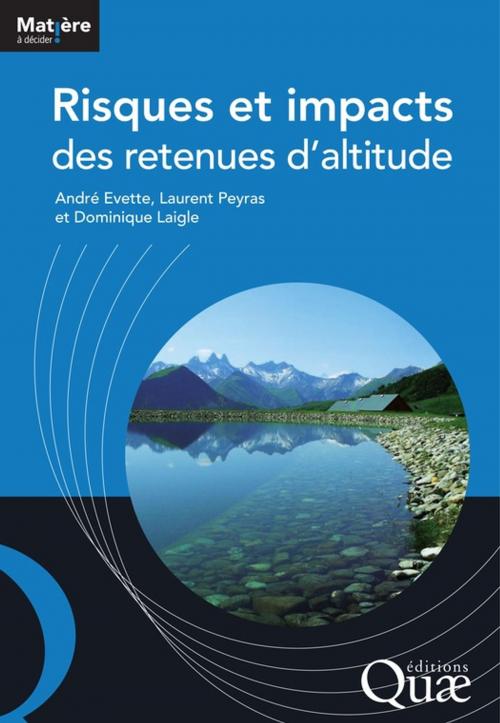 Cover of the book Risques et impacts des retenues d'altitude by Dominique Laigle, André Evette, Laurent Peyras, Quae