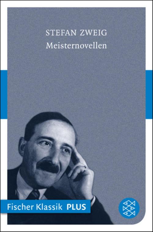 Cover of the book Meisternovellen by Stefan Zweig, FISCHER E-Books