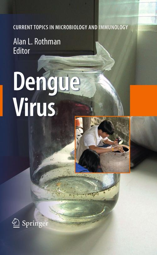 Cover of the book Dengue Virus by , Springer Berlin Heidelberg