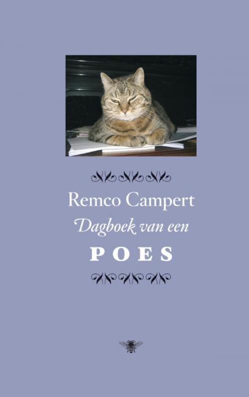Cover of the book Dagboek van een poes by Remco Campert, Bezige Bij b.v., Uitgeverij De