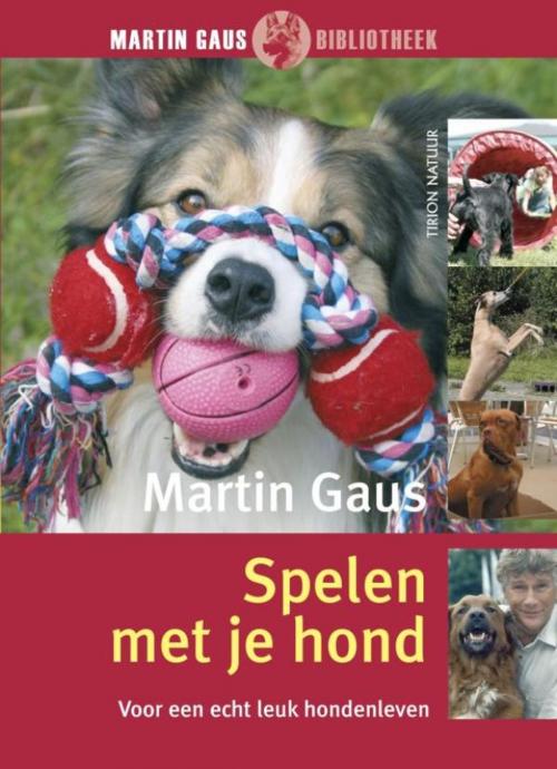 Cover of the book Spelen met je hond by Martin Gaus, Jolien Schat, VBK Media