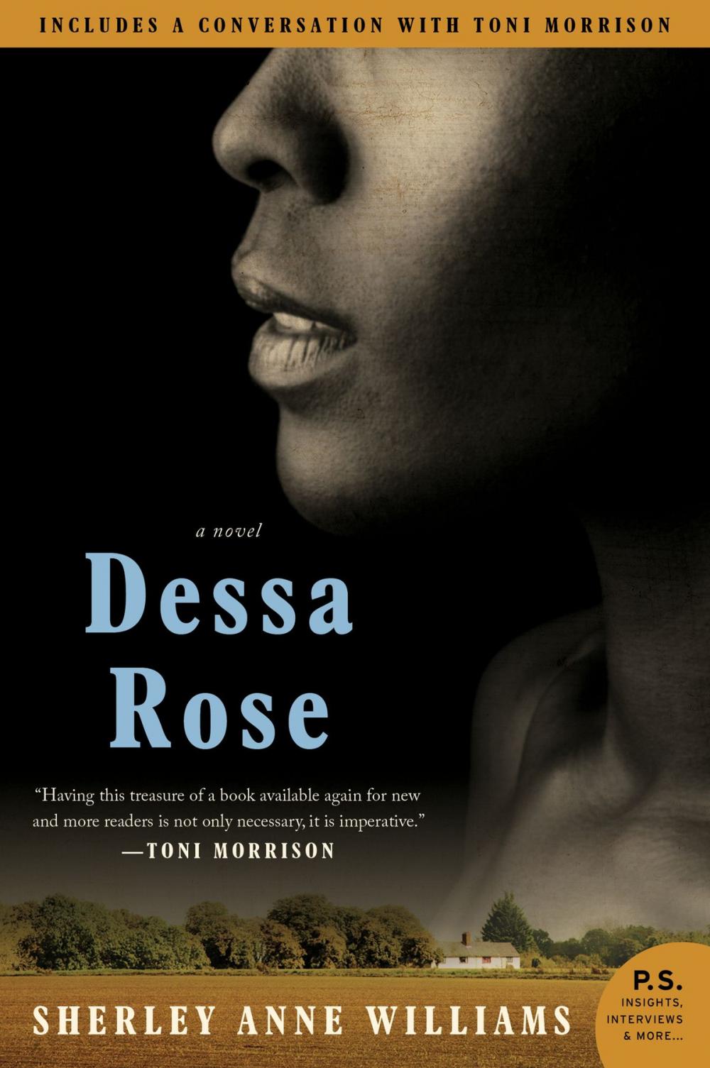 Big bigCover of Dessa Rose