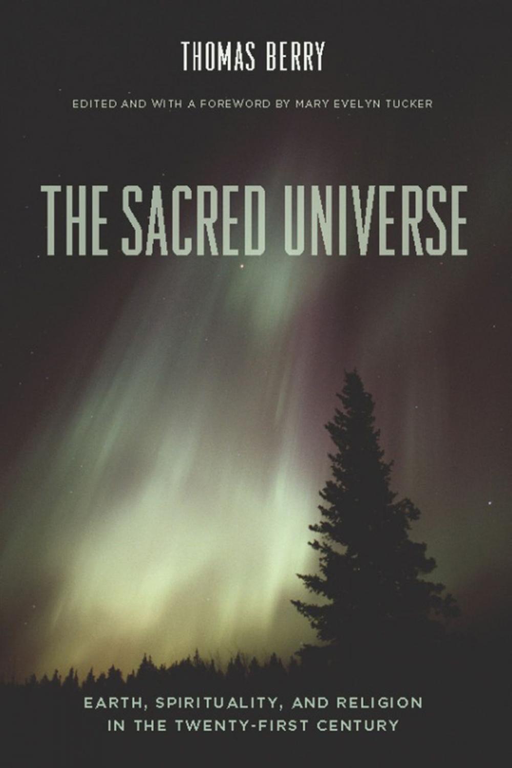 Big bigCover of The Sacred Universe