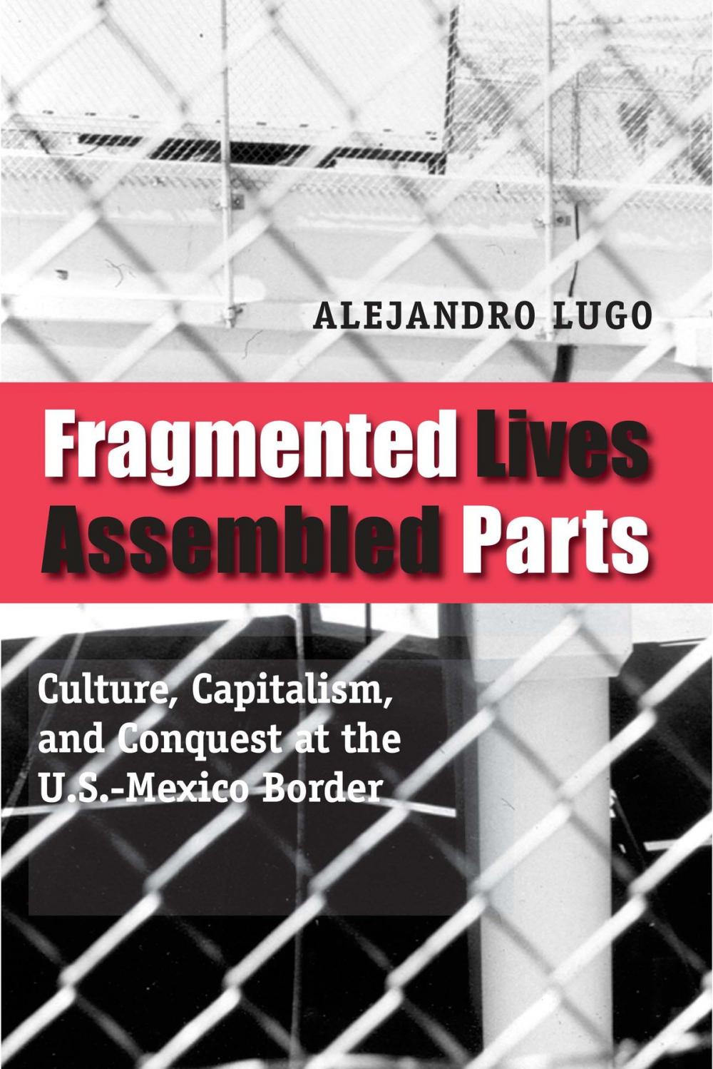 Big bigCover of Fragmented Lives, Assembled Parts