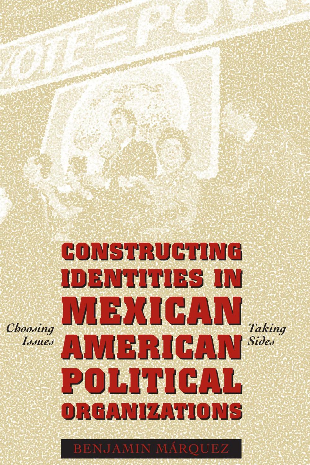 Big bigCover of Constructing Identities in Mexican-American Political Organizations