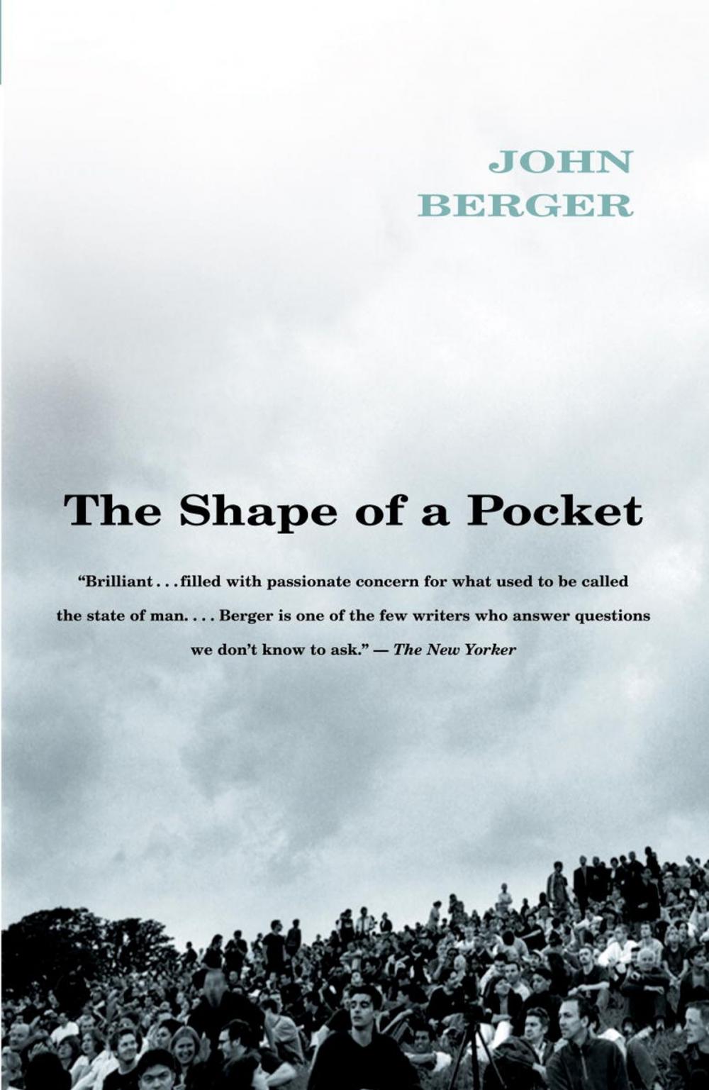 Big bigCover of The Shape of a Pocket