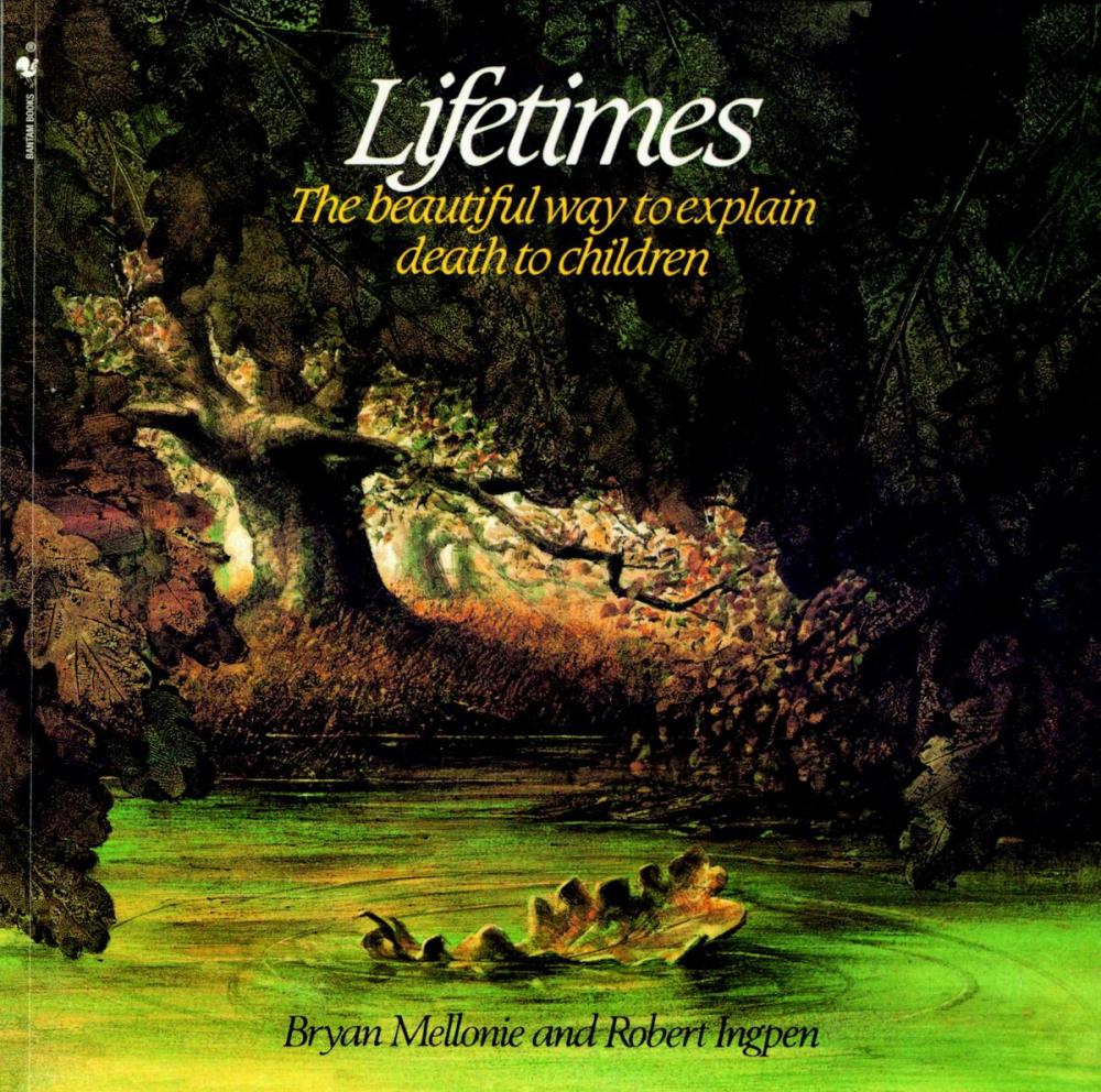 Big bigCover of Lifetimes