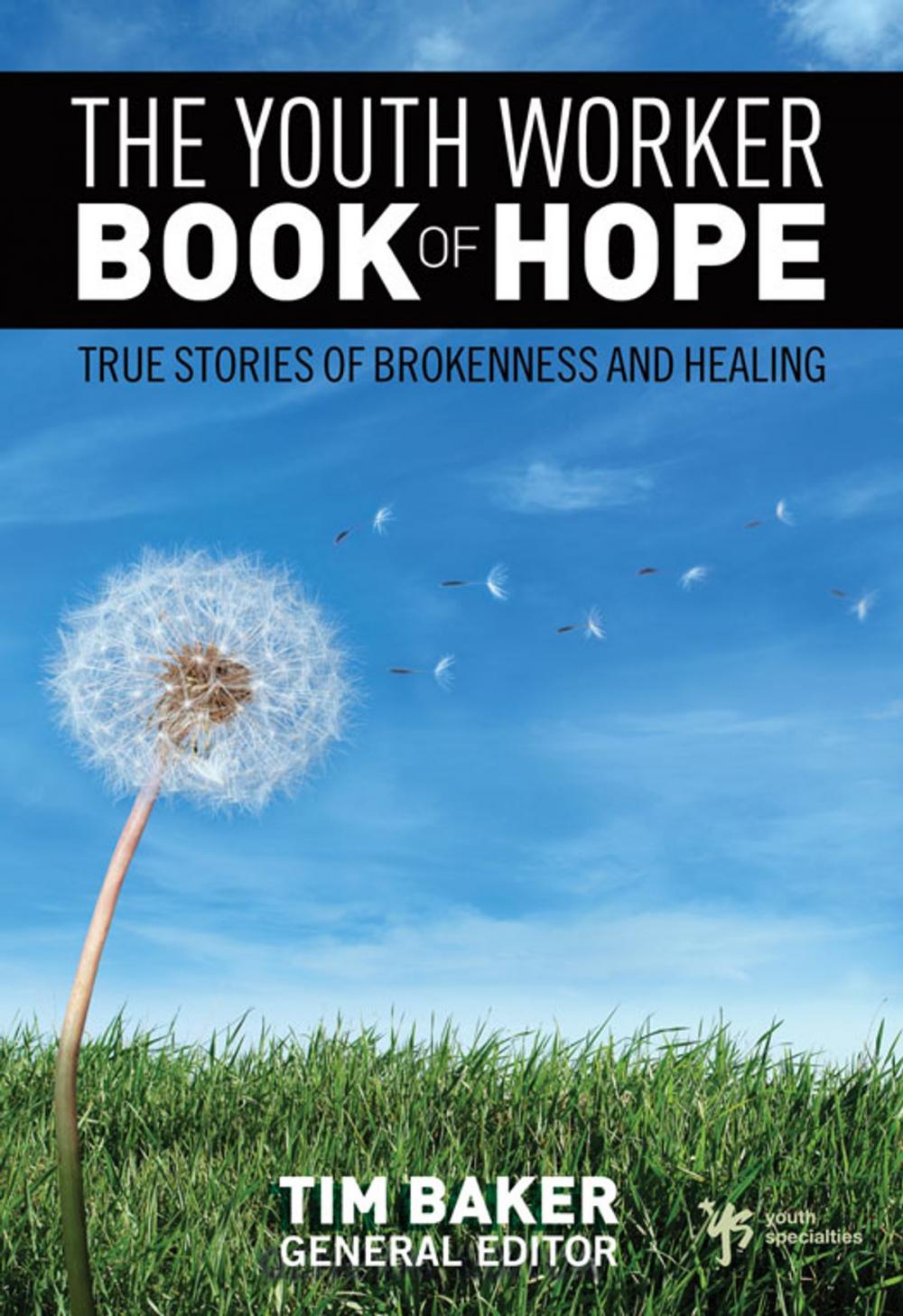 Big bigCover of The Youth Worker Book of Hope