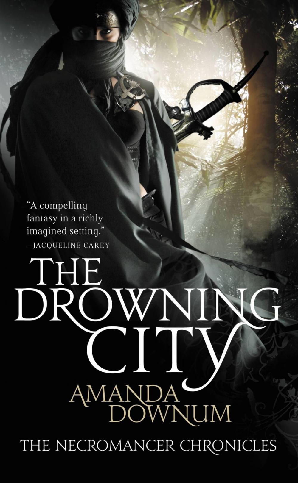 Big bigCover of The Drowning City